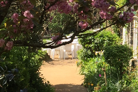 tea garden sablonneriejpg